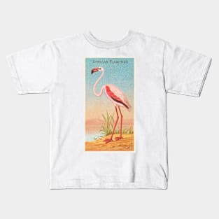 African flamingo Kids T-Shirt